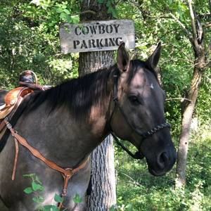 Meet your Posher, Barb